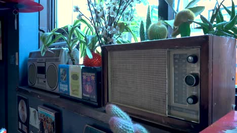 Radio-Antigua-Sentada-En-Una-Ventana-Junto-Con-Plantas