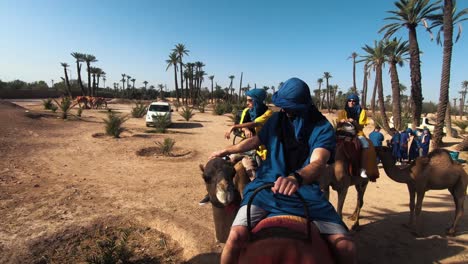 Traveler-scratches-a-camel-on-his-head