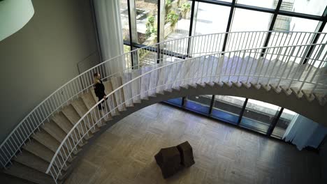 The-woman-is-going-up-the-stairs-in-the-Chicago-Art-Institute