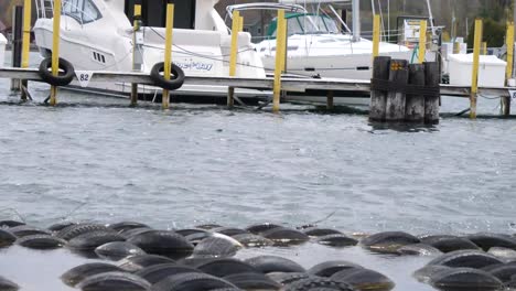 Pasando-Por-Una-Fila-De-Neumáticos-De-Goma-Flotantes-Cerca-Del-Muelle-Del-Puerto-Deportivo-En-El-Lago-Michigan