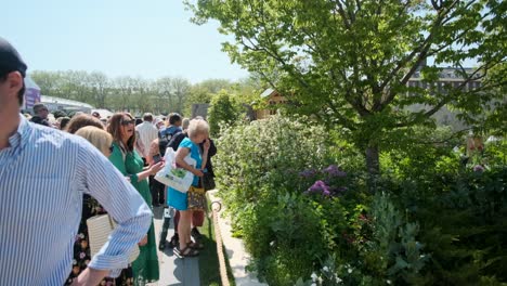 People-looking-into-one-of-the-exhibition-gardens-at-the-Chelsea-flower-show
