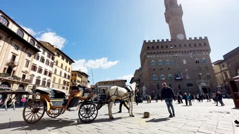 Lujoso-Carruaje-Con-Caballo-Blanco-En-Piazza-Della-Signora,-Plaza-En-El-Centro-De-Florencia,-Italia,-En-Un-Día-Soleado-Con-El-Antiguo-Palacio-