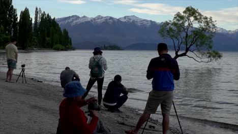 Instagrammers-En-Ese-árbol-Wanaka-En-Nueva-Zelanda.