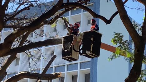 Cirujanos-De-árboles-Envueltos-Más-Allá-Del-Reconocimiento-Con-Máscaras-De-Seguridad-Y-Ropa,-Podan-Un-árbol-Con-Una-Motosierra