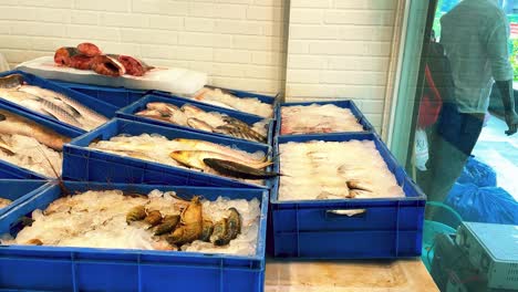 Metzger-Schaufenster-Mit-Fangfrischem-Fisch-In-Blauen-Eiswürfelschalen-In-Indien