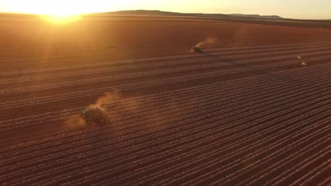 Vuela-Sobre-Campos-De-Algodón-Mientras-Dos-Cosechadoras-De-Algodón-Trabajan-Bajo-La-Luz-Dorada-De-La-Tarde-Recogiendo-Algodón-De-La-Plantación