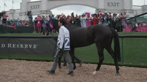 Derby-De-Kentucky-149-Caballo-22-Héroe-Mandarín