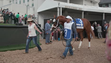 Caballo-Derby-De-Kentucky-3-Dos-Phils-Antes-De-La-Carrera