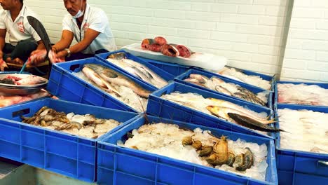 Butcher-Window-Display-with-Freshly-Caught-Fish-in-Blue-Ice-Trays-in-India