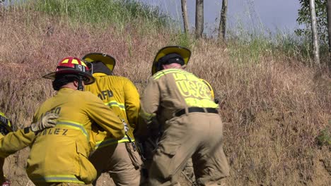 Los-Bomberos-Trabajan-Para-Ayudar-Al-Animal-Herido.