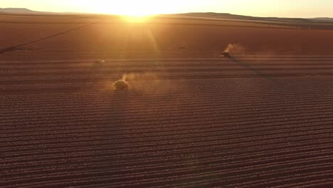 Toma-Amplia-De-Dos-Cosechadoras-Recogiendo-Algodón-De-Un-Campo-Polvoriento-A-La-Luz-De-La-Tarde