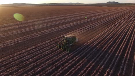 Drones-Rastrean-Alrededor-De-La-Cosechadora-De-Algodón-Mientras-Trabaja-Por-La-Tarde-Recogiendo-Algodón