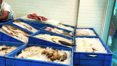 Metzger-Schaufenster-Mit-Fangfrischem-Fisch-In-Blauen-Eiswürfelschalen-In-Indien