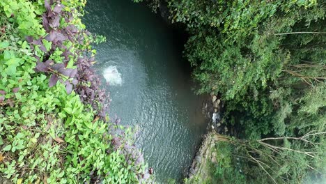 Guía-Balinés-Saltando-Desde-Una-Plataforma-De-Buceo-En-Un-Alto-Acantilado-En-La-Cascada-De-Kembar-En-Aling-Aling,-Bali.