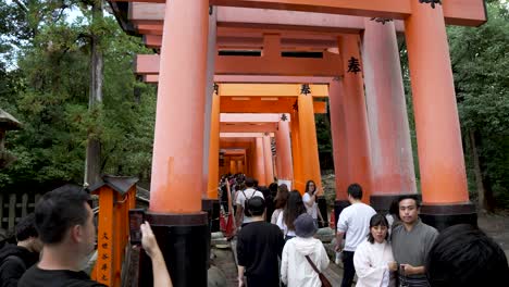 Multitudes-Ocupadas-Abriéndose-Paso-A-Través-De-Las-Puertas-Torii-En-Fushimi-Inari-Taisha