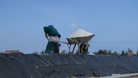 Un-Agricultor-De-Sal-Marina-Está-Recogiendo-Sal-Marina