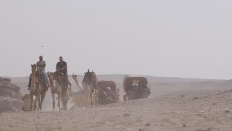 Horse-carriages-and-camels-carrying-tourists-pass-on-the-dirt-road,-animals-using-them-as-transportation,-Cairo,-Egypt