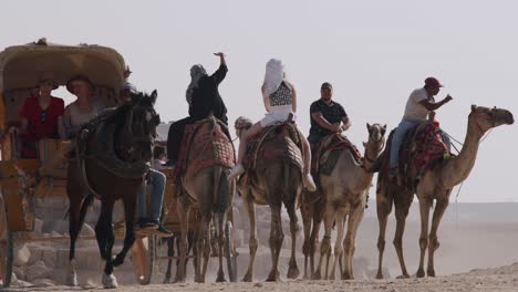 Transporte-En-Carruaje-De-Caballos-Y-Camello-Para-Visitar-Lugares-Históricos-Y-Viajar-En-Egipto,-Visitar-Las-Pirámides.