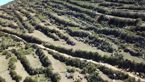 Drone-Aéreo-Disparado-Desde-Personas-Sentadas-En-Una-Montaña,-En-La-Isla-Del-Sol,-Cerca-Del-Lago-Titicaca,-En-Las-Montañas-De-Los-Andes,-Bolivia,-Sudamérica