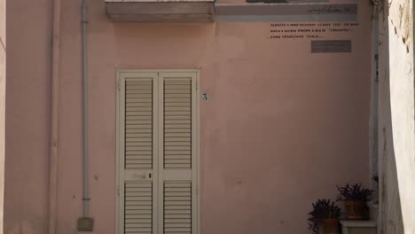 Murales-of-an-old-lady-at-her-balcony-with-a-rifle