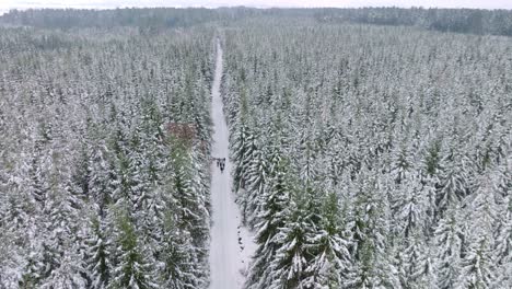 Eine-Gruppe-Von-Freunden-Reist-Auf-Einer-Verschneiten-Straße-In-Einer-Winterlandschaft-Durch-Den-Wald