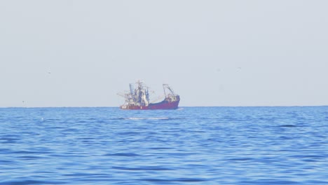 Ballena-Franca-Emerge-Y-Salpica-El-Agua-Con-Su-Aleta-Caudal-Con-Un-Viejo-Barco-Pesquero-Al-Fondo-Puerto-Madryn