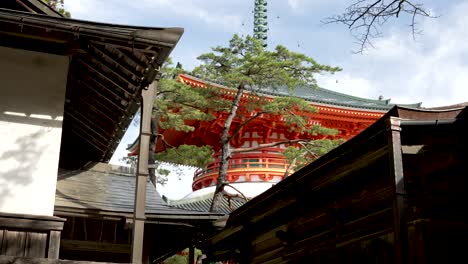 Vista-De-La-Parte-Superior-De-Konpon-Daito-Al-Fondo,-Detrás-De-Un-árbol-En-Koyasan.