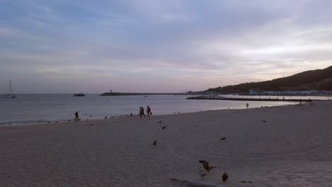 Group-of-people-walking-on-the-sandy-beach-amongst-seagulls-at-Sesimbra,-Portugal