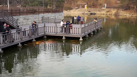 Asiatische-Menschen-Füttern-Die-Orangefarbenen-Fische-An-Einem-Teich