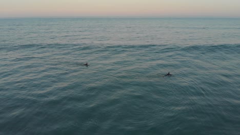 Surfer-Wärmen-Sich-Auf,-Indem-Sie-Zur-Ruhigen-Goldenen-Stunde-Im-Milden-Meerwasser-Des-Strandes-Santinho-Schwimmen