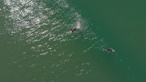 Surfers-relaxing-and-riding-on-the-calm-ocean-waters-of-Santinho-with-one-getting-on-board