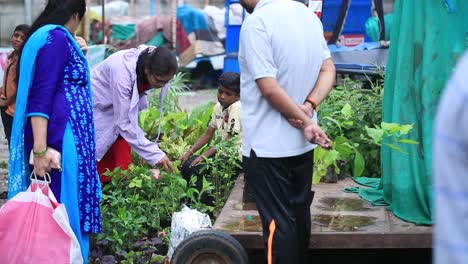 Dos-Mujeres-Indias-Preguntando-El-Precio-De-Diferentes-Plantas,-Siguiendo-Una-Toma-Del-Mercado-A-Personas-Comprando-Una-Planta.