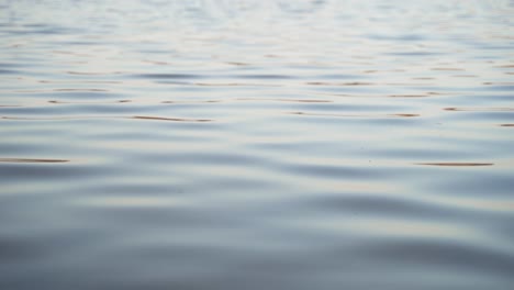 An-aesthetic-shot-of-small,-calm,-beautiful-waves-in-clear-blue-water