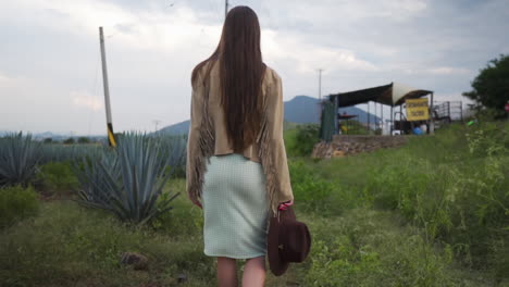 Following-girl-through-an-Agave-plantation-at-dusk---Medium-shot