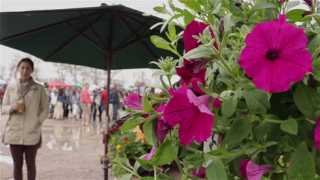 Gente-Comprando-Casualmente-Flores-Y-Plantas-En-Un-Mercado-De-Agricultores