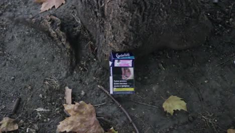 Empty-Pack-of-Cigarettes-Laying-in-Dirt-Under-a-Tree