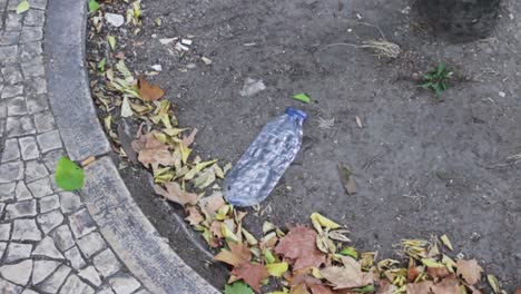 Flattened-Plastic-Water-Bottle-Laying-in-Dirt-Next-to-Sidewalk-Surrounded-by-Dead-Leaves