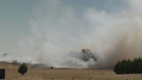 Fuego-De-Pasto-En-Un-Día-Caluroso-Y-Ventoso-En-Victoria,-Enorme-Pared-De-Humo-Corriendo-A-Través-De-Tierras-De-Cultivo