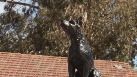 'Dog-on-the-Tucker-Box'-statue-restored-after-having-been-knocked-over-3-weeks-prior