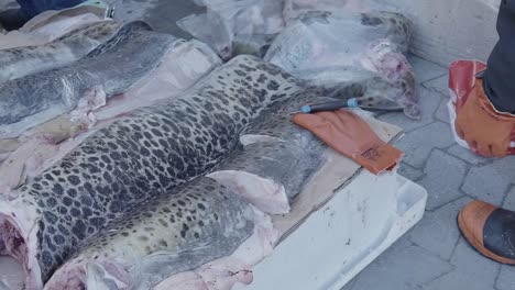 Fisherman-Cutting-Up-Fresh-Raw-Fish-And-Placing-Inside-Customers-Bag-In-Greenland