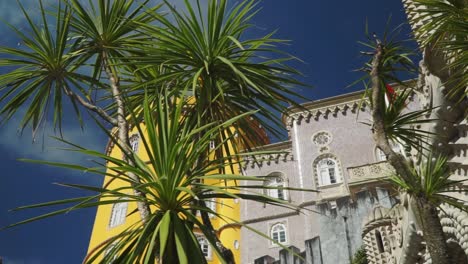 Plano-Arriba,-Moviéndose-Hacia-La-Izquierda,-Palmera-Que-Revela-El-Palacio-Nacional-De-Pena-En-Sintra,-Portugal,-Cielo-Azul-De-Fondo