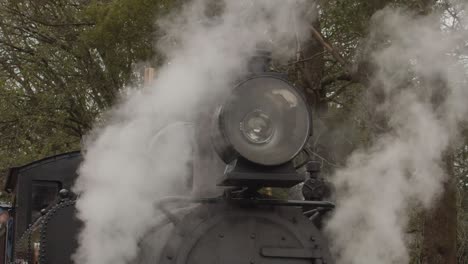 Historic-'Puffing-Billy'-steam-train-releasing-steam-at-Gembrook-Station