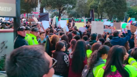 A-crowd-of-women-and-men-are-holding-signs-and-flags-as-they-protest-against-the-violence-and-abuse-towards-women