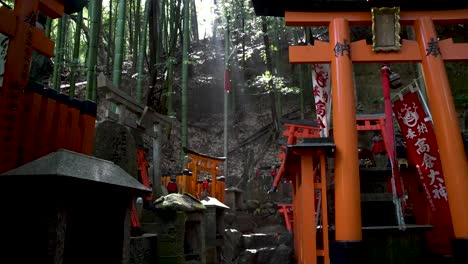 Vermillion-Torii-Gates-In-Bamboo-Forest-Hillside-With-Sun-Shining-Through-At-Fushimi-Inari-taisha