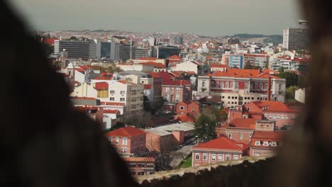 Toma-De-Enfoque-Medio,-En-Medio-De-Un-Hueco-Entre-árboles,-Vista-Panorámica-De-Edificios-Y-Casas-En-Lisboa,-Portugal.