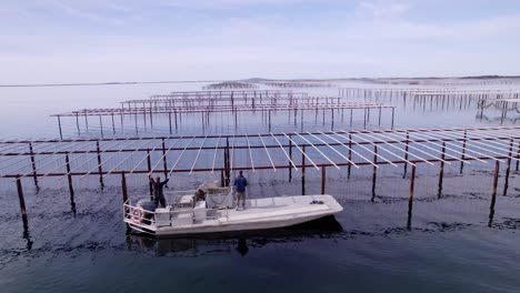 La-Cámara-De-Un-Dron-Vuela-Bajo-Sobre-Estructuras-Con-Cuerdas-De-Nailon-Tensas-Para-El-Cultivo-De-Ostras-En-Una-Bahía-Cerca-De-La-Ciudad-De-Sète,-Francia.