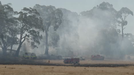 Los-Camiones-De-Bomberos-Se-Ven-Pequeños-En-El-Incendio-De-Pasto-En-Victoria-Con-Humo-Espeso-Y-árboles-Altos-Llenos-De-Humo.