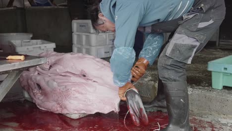 Male-Inuit-Fisherman-Cutting-Fin-Off-Dead-Seal-With-Blood-On-Floor