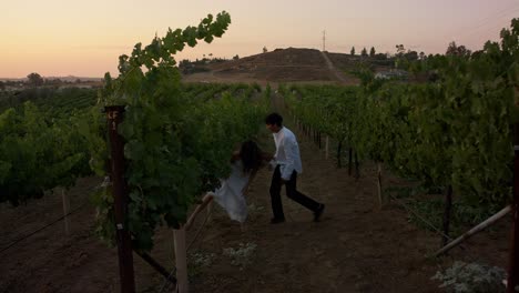 Flitterwochen-Oder-Dating-Eines-Jungen-Paares,-Das-In-Den-Farben-Des-Sonnenuntergangs-Durch-Den-Weinberg-Läuft