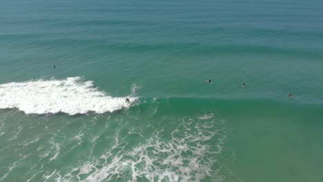 Surfer-learning-to-cruise-on-the-mild-waves-of-Santinho-Beach-Florianopolis-Brazil